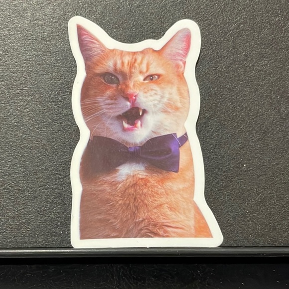 ORANGE CAT IN BOW TIE STICKER - Picture 1 of 1